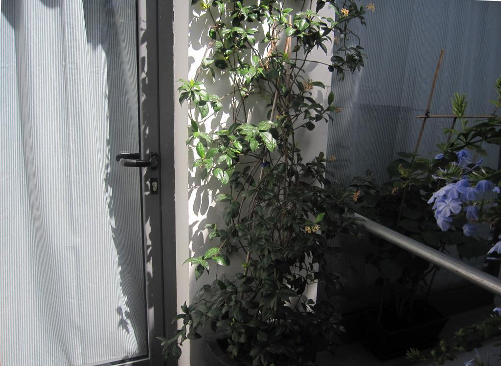 Brancadoria B&B Monteleone Rocca Doria Buitenkant foto
