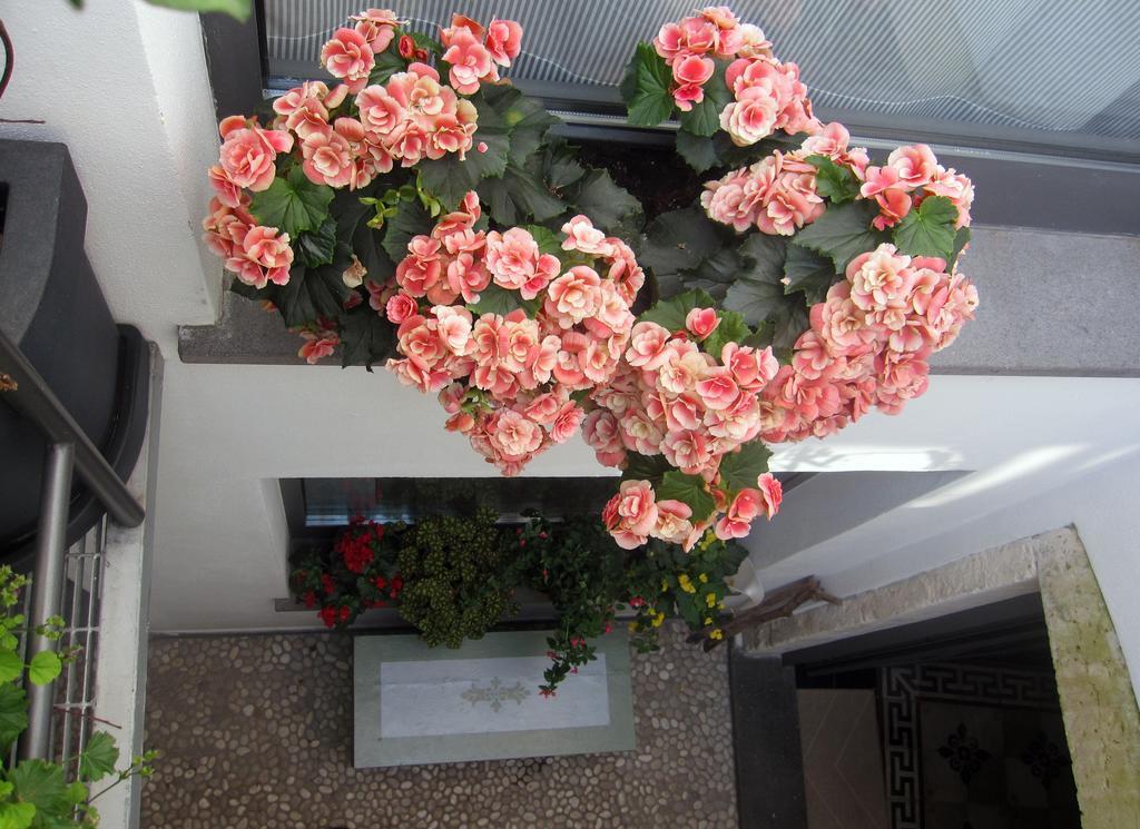 Brancadoria B&B Monteleone Rocca Doria Buitenkant foto