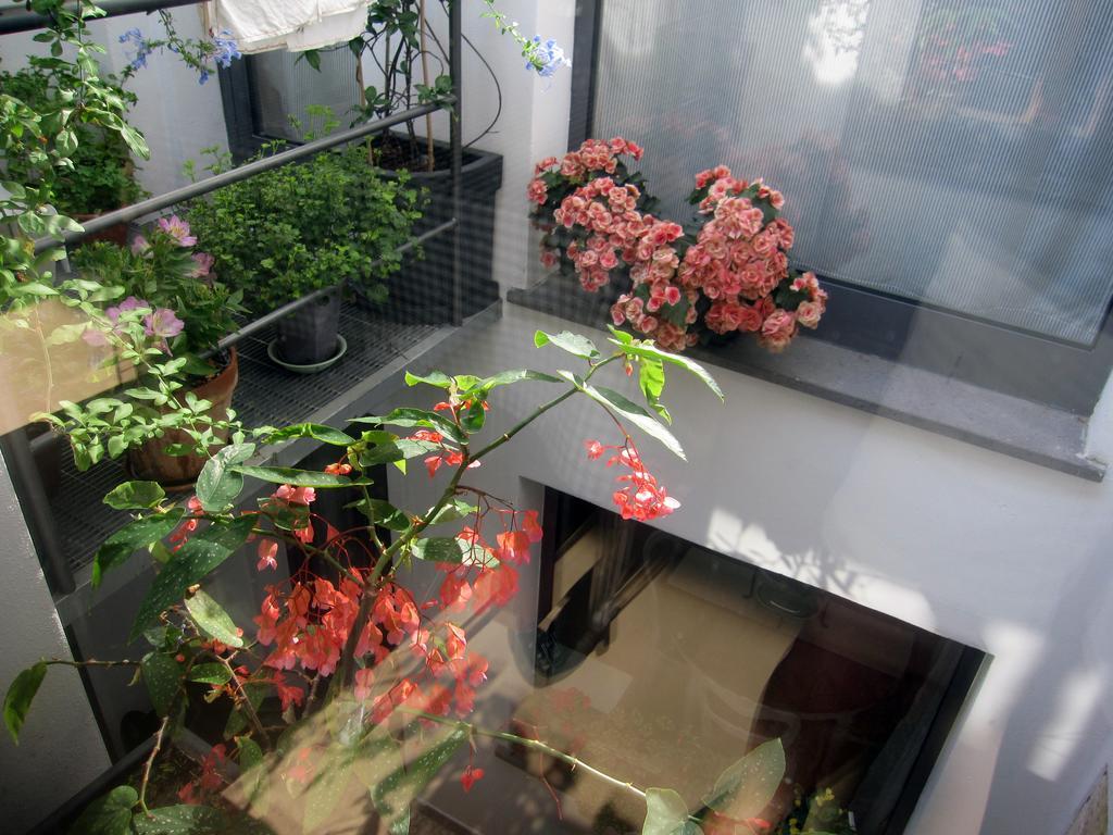 Brancadoria B&B Monteleone Rocca Doria Buitenkant foto